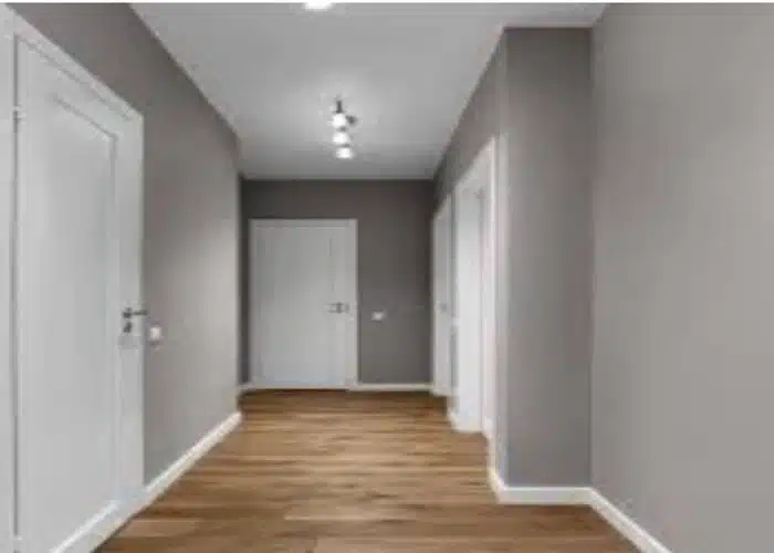 دهانات الجدران الداخلية